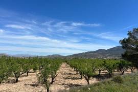 listing listing
