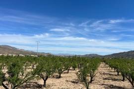 listing listing