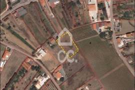 Land Bombarral Barrocalvo Land Bombarral Barrocalvo