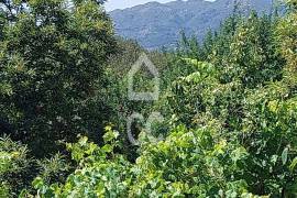 Land Vouzela Queirã Land Vouzela Queirã
