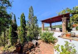 Authentic 1-Storey Algarvian Villa with Annex & Solar Power