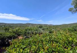Authentic 1-Storey Algarvian Villa with Annex & Solar Power