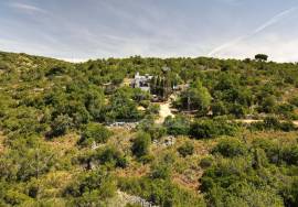 Authentic 1-Storey Algarvian Villa with Annex & Solar Power