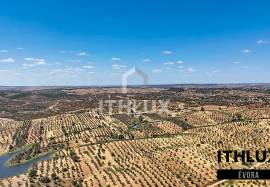 Rustic Land Rustic Land