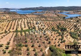 Rustic Land Rustic Land