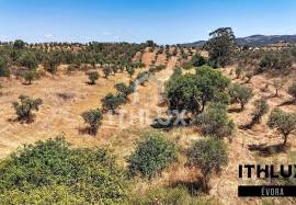 Rustic Land Rustic Land