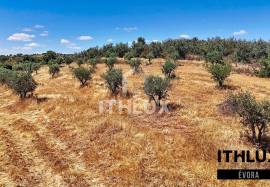 Rustic Land Rustic Land