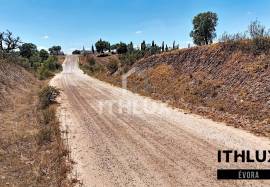 Rustic Land Rustic Land