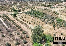 Rustic Land Rustic Land