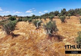 Rustic Land Rustic Land
