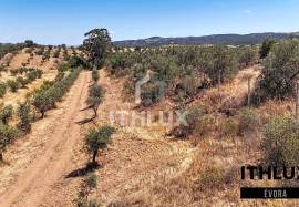 Rustic Land Rustic Land
