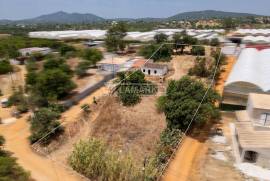 3 + 1 bedroom farm with sea view on a plot of 3427 m2 located in Murteira - Areias near Moncarapacho in Olhão
