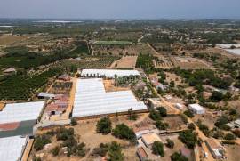 3 + 1 bedroom farm with sea view on a plot of 3427 m2 located in Murteira - Areias near Moncarapacho in Olhão 3 + 1 bedroom farm with sea view on a plot of 3427 m2 located in Murteira - Areias near Moncarapacho in Olhão