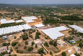 3 + 1 bedroom farm with sea view on a plot of 3427 m2 located in Murteira - Areias near Moncarapacho in Olhão 3 + 1 bedroom farm with sea view on a plot of 3427 m2 located in Murteira - Areias near Moncarapacho in Olhão
