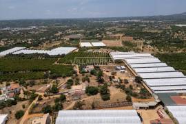 3 + 1 bedroom farm with sea view on a plot of 3427 m2 located in Murteira - Areias near Moncarapacho in Olhão 3 + 1 bedroom farm with sea view on a plot of 3427 m2 located in Murteira - Areias near Moncarapacho in Olhão