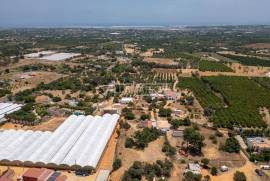 3 + 1 bedroom farm with sea view on a plot of 3427 m2 located in Murteira - Areias near Moncarapacho in Olhão 3 + 1 bedroom farm with sea view on a plot of 3427 m2 located in Murteira - Areias near Moncarapacho in Olhão