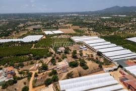 3 + 1 bedroom farm with sea view on a plot of 3427 m2 located in Murteira - Areias near Moncarapacho in Olhão 3 + 1 bedroom farm with sea view on a plot of 3427 m2 located in Murteira - Areias near Moncarapacho in Olhão