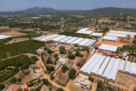 3 + 1 bedroom farm with sea view on a plot of 3427 m2 located in Murteira - Areias near Moncarapacho in Olhão 3 + 1 bedroom farm with sea view on a plot of 3427 m2 located in Murteira - Areias near Moncarapacho in Olhão