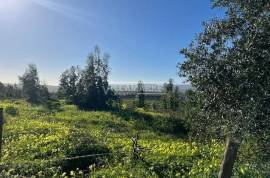 Bank warehouse in a state of ruin with 6851 m2 and 27880 m2 of land located in Labrugueira near Alenquer Bank warehouse in a state of ruin with 6851 m2 and 27880 m2 of land located in Labrugueira near Alenquer
