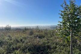 Bank warehouse in a state of ruin with 6851 m2 and 27880 m2 of land located in Labrugueira near Alenquer Bank warehouse in a state of ruin with 6851 m2 and 27880 m2 of land located in Labrugueira near Alenquer