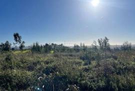 Bank warehouse in a state of ruin with 6851 m2 and 27880 m2 of land located in Labrugueira near Alenquer Bank warehouse in a state of ruin with 6851 m2 and 27880 m2 of land located in Labrugueira near Alenquer