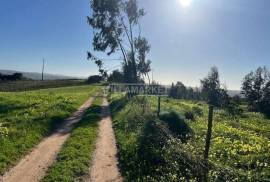 Bank warehouse in a state of ruin with 6851 m2 and 27880 m2 of land located in Labrugueira near Alenquer Bank warehouse in a state of ruin with 6851 m2 and 27880 m2 of land located in Labrugueira near Alenquer