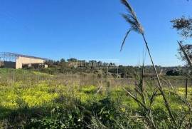 Bank warehouse in a state of ruin with 6851 m2 and 27880 m2 of land located in Labrugueira near Alenquer Bank warehouse in a state of ruin with 6851 m2 and 27880 m2 of land located in Labrugueira near Alenquer