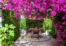 Modern Tavira Centre Villa for Sale with Private Pool and Mature Garden