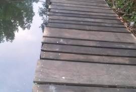 4 Bed House With Land For Sale In Madu River Area of Sri Lanka