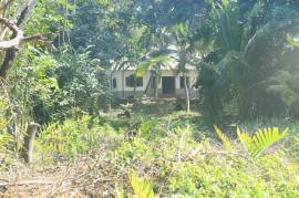 4 Bed House With Land For Sale In Madu River Area of Sri Lanka