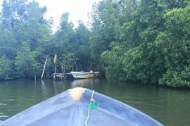 4 Bed House With Land For Sale In Madu River Area of Sri Lanka