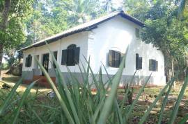 4 Bed House With Land For Sale In Madu River Area of Sri Lanka