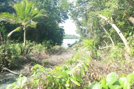4 Bed House With Land For Sale In Madu River Area of Sri Lanka