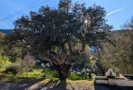 2-Bed House with Garden, River & Mountain Views - Ponte Velha, Marvao 2-Bed House with Garden, River & Mountain Views - Ponte Velha, Marvao