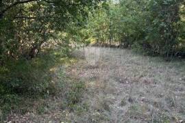 Land Filipana, Marčana, 1.302m2