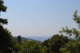 For Sale Land 3419 m² in Kassandra, Chalkidiki