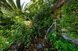 Stone Ruin for Rehabilitation with Sea View | Monchique Stone Ruin for Rehabilitation with Sea View | Monchique