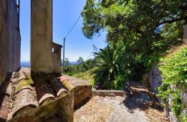 Stone Ruin for Rehabilitation with Sea View | Monchique Stone Ruin for Rehabilitation with Sea View | Monchique