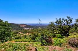 Stone Ruin for Rehabilitation with Sea View | Monchique Stone Ruin for Rehabilitation with Sea View | Monchique