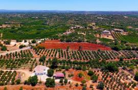 Rustic Land in Montes Grandes - Silves Rustic Land in Montes Grandes - Silves
