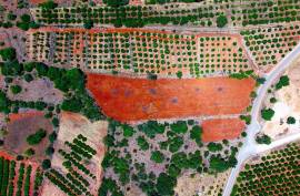 Rustic Land in Montes Grandes - Silves Rustic Land in Montes Grandes - Silves