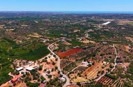 Rustic Land in Montes Grandes - Silves Rustic Land in Montes Grandes - Silves
