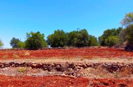 Rustic Land in Montes Grandes - Silves Rustic Land in Montes Grandes - Silves