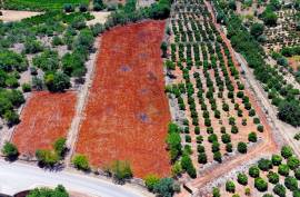 Rustic Land in Montes Grandes - Silves