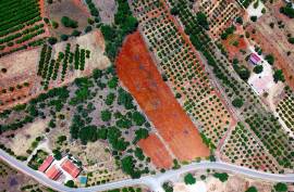 Rustic Land in Montes Grandes - Silves Rustic Land in Montes Grandes - Silves