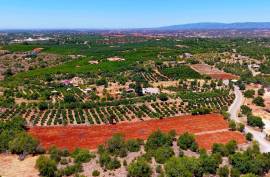 Rustic Land in Montes Grandes - Silves Rustic Land in Montes Grandes - Silves