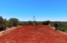 Rustic Land in Montes Grandes - Silves Rustic Land in Montes Grandes - Silves