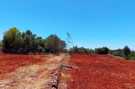 Rustic Land in Montes Grandes - Silves Rustic Land in Montes Grandes - Silves