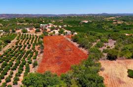 Rustic Land in Montes Grandes - Silves Rustic Land in Montes Grandes - Silves