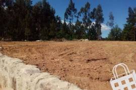 Land São Pedro do Sul